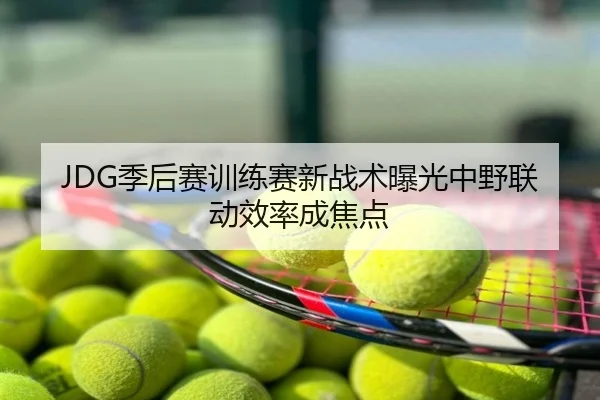 JDG季后赛训练赛新战术曝光中野联动效率成焦点