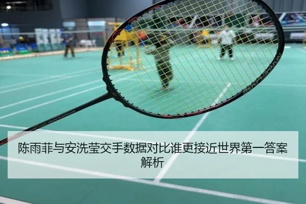 陈雨菲与安洗莹交手数据对比谁更接近世界第一答案解析